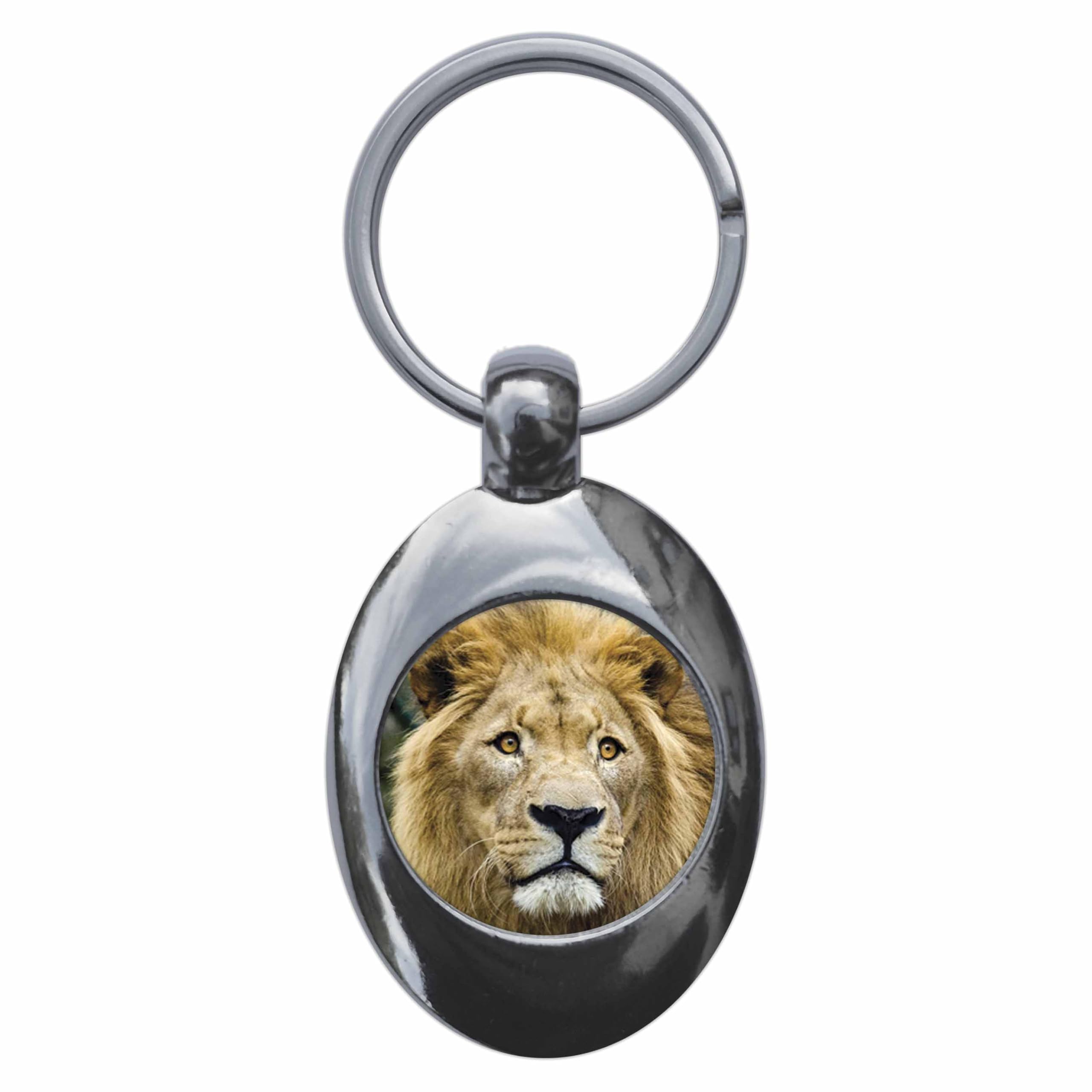 Ozorath Lion Keyring Keychain Key Ring Chain With Trolley Coin