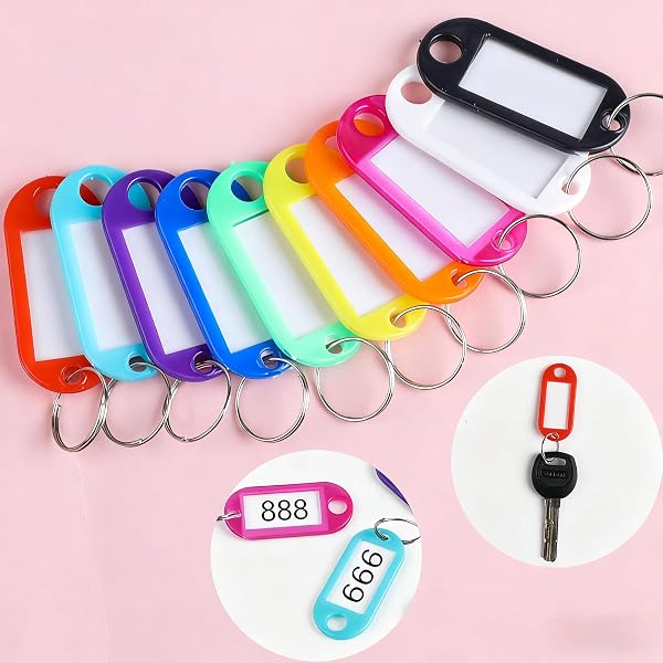 30 Pack Plastic Key Tags with Labels for Easy Use
