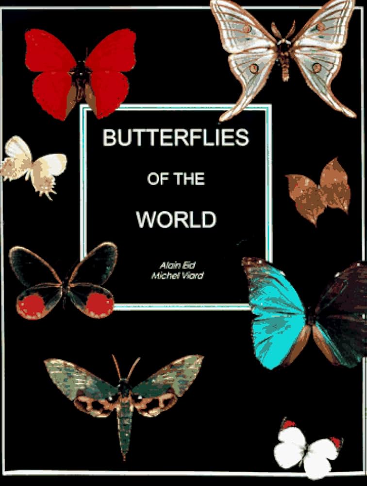 The International Butterfly Book 英語版 初版本 91PTTAecJCL._UF350,350_QL50_.jpg