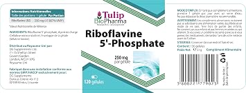 Tulip BioPharma Vitamin B2 (Riboflavin 5'-Phosphate) 250mg 120 Capsules, 3rd Party Lab Tested, High Strength Supplement, Gluten and GMO Free