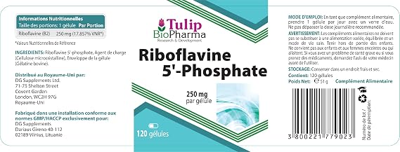 Tulip BioPharma Vitamin B2 (Riboflavin 5'-Phosphate) 250mg 120 Capsules, 3rd Party Lab Tested, High Strength Supplement, Gluten and GMO Free