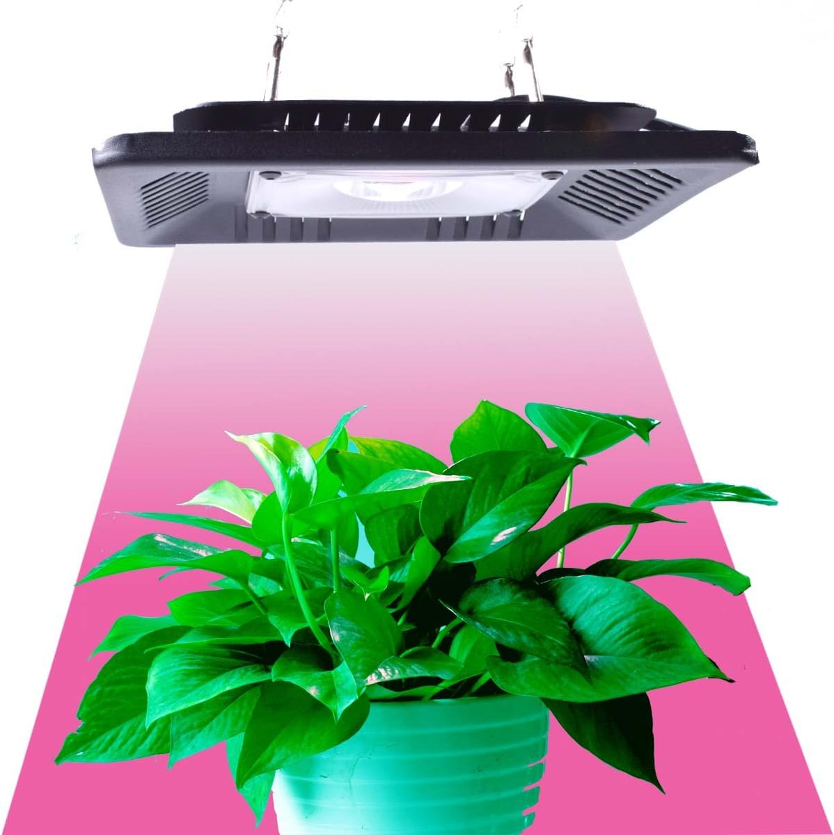 Full Spectrum LED Grow Light 1000 Watt/1200W for Indoor Plants Veg and Flower (T-100W)