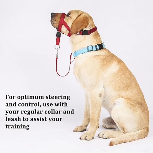 Miniatura 5 de BARKLESS Collar de cabeza sin tirones para entrenar y caminar de perros, arnés suave con guía de entrenamiento experto (idioma español no