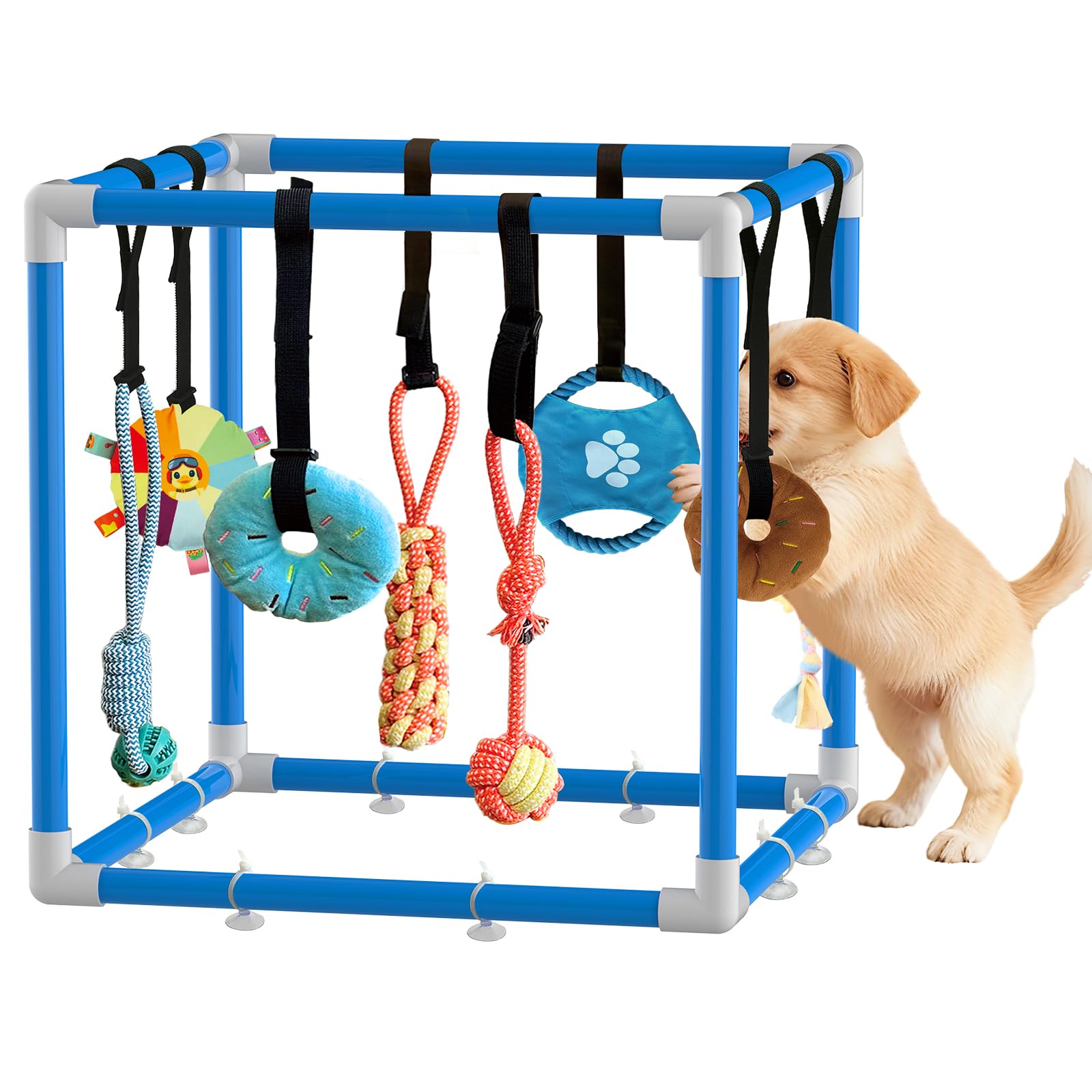 Welpenspielstudio mit 8 hängenden Spielzeugen, interaktives Welpenspielzeug für kleine Rassen, Indoor-Spiel-Fitnessstudio für Langeweile, Bereicherung, Aktivität, Zahnen, PVC-Rahmen, dehnbares