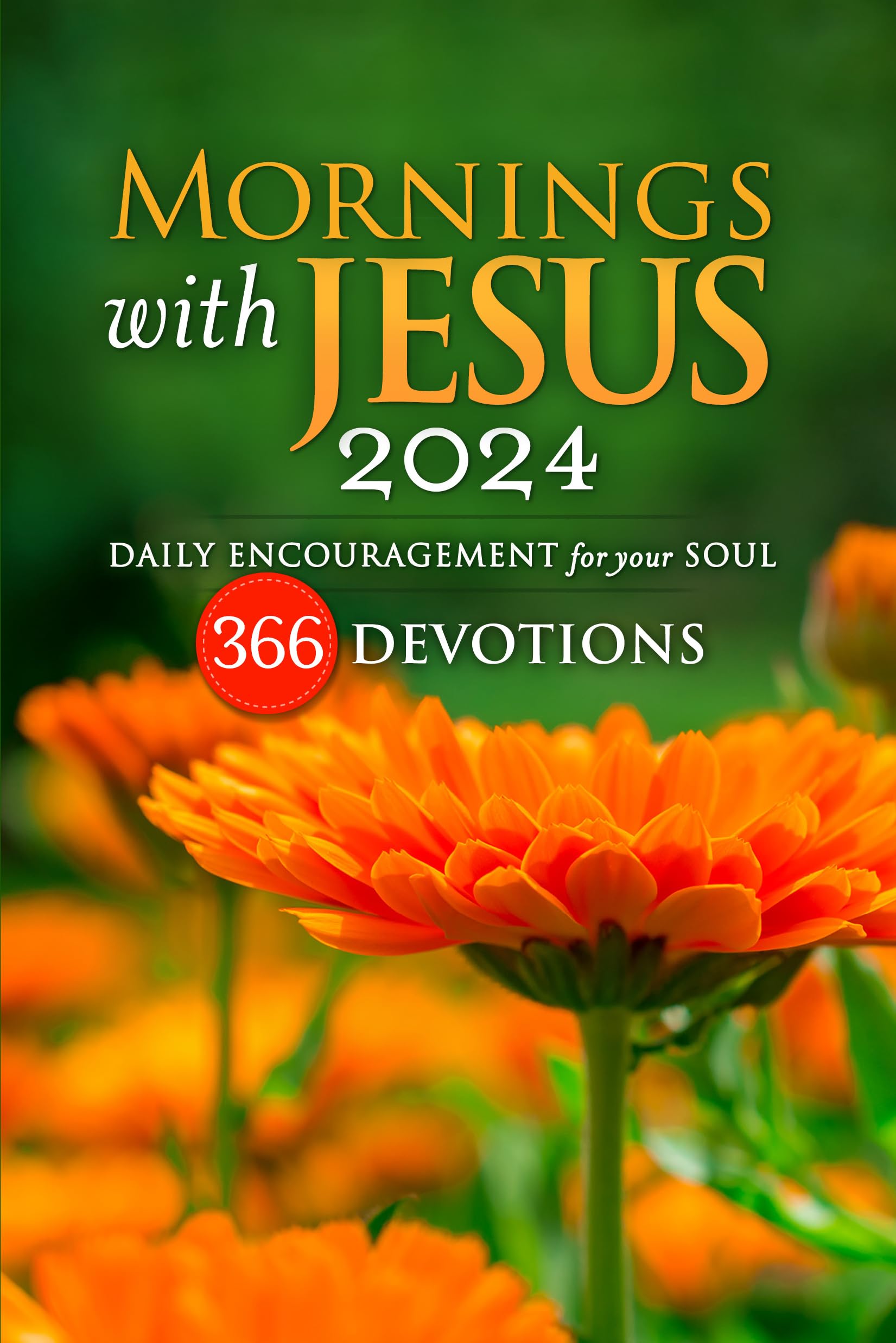 Mornings with Jesus 2024: Daily Encouragement for Your Soul
