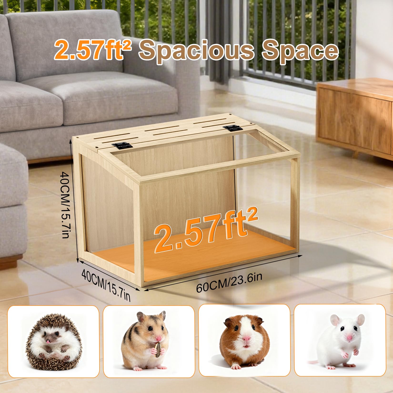 BingoPaw Gabbia per Criceti 60x40x40cm: Legno e Vetro temperato Trasparente con Luce, Gabbia Roditori Piccoli Animali Domestici, Solo Casetta Nessun Giocattolo Interno o Accessorio