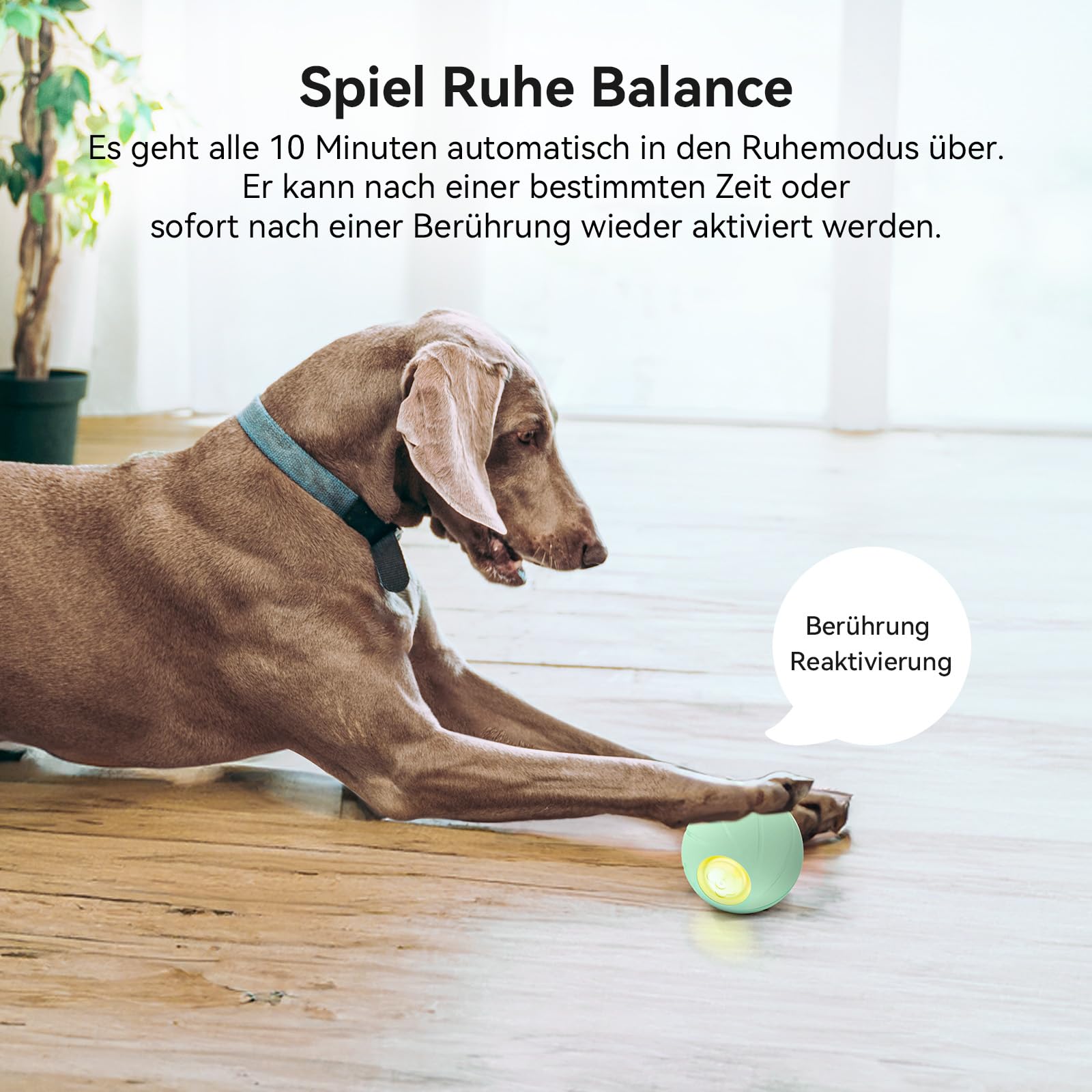 Cheerble Wicked Ball PE, 3 Interaktionsmodi Interaktives Hundespielzeug Ball, Selbstrollender Ball Hund mit LED-Lichter, DC wiederaufladbar, Lustiges Geburtstagsgeschenk für große Hunde, Grün