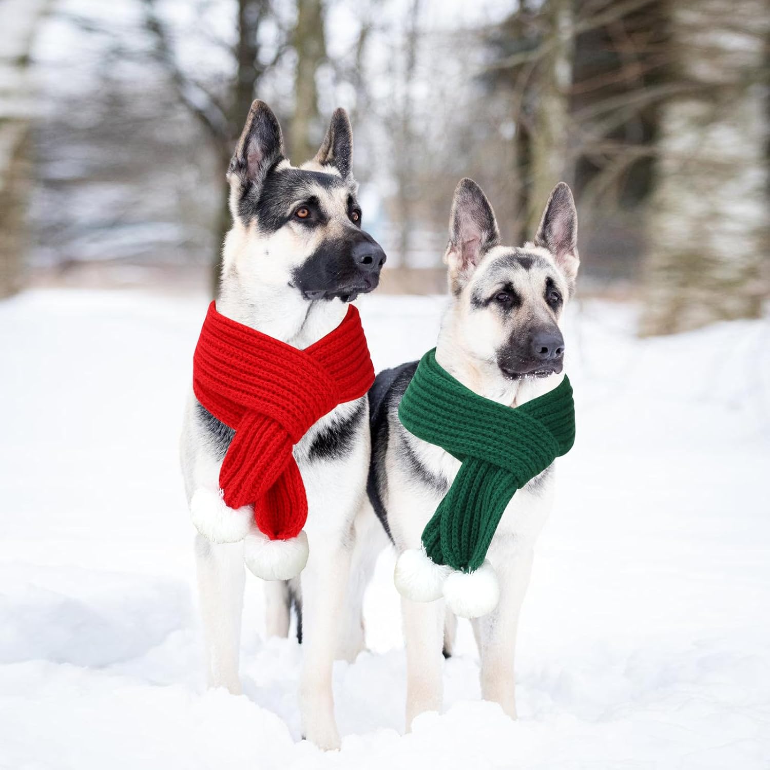 HYLYUN Christmas Pet Scarf 2 Pieces Knitted Pet Collar Winter Cat Neck Warmer Red Green Pet Scarf Puppy Cat Costume Accessories Mini Knitted Scarf for Small to Medium Sized Pets 6 71BWLVPWYiL. AC SL1500