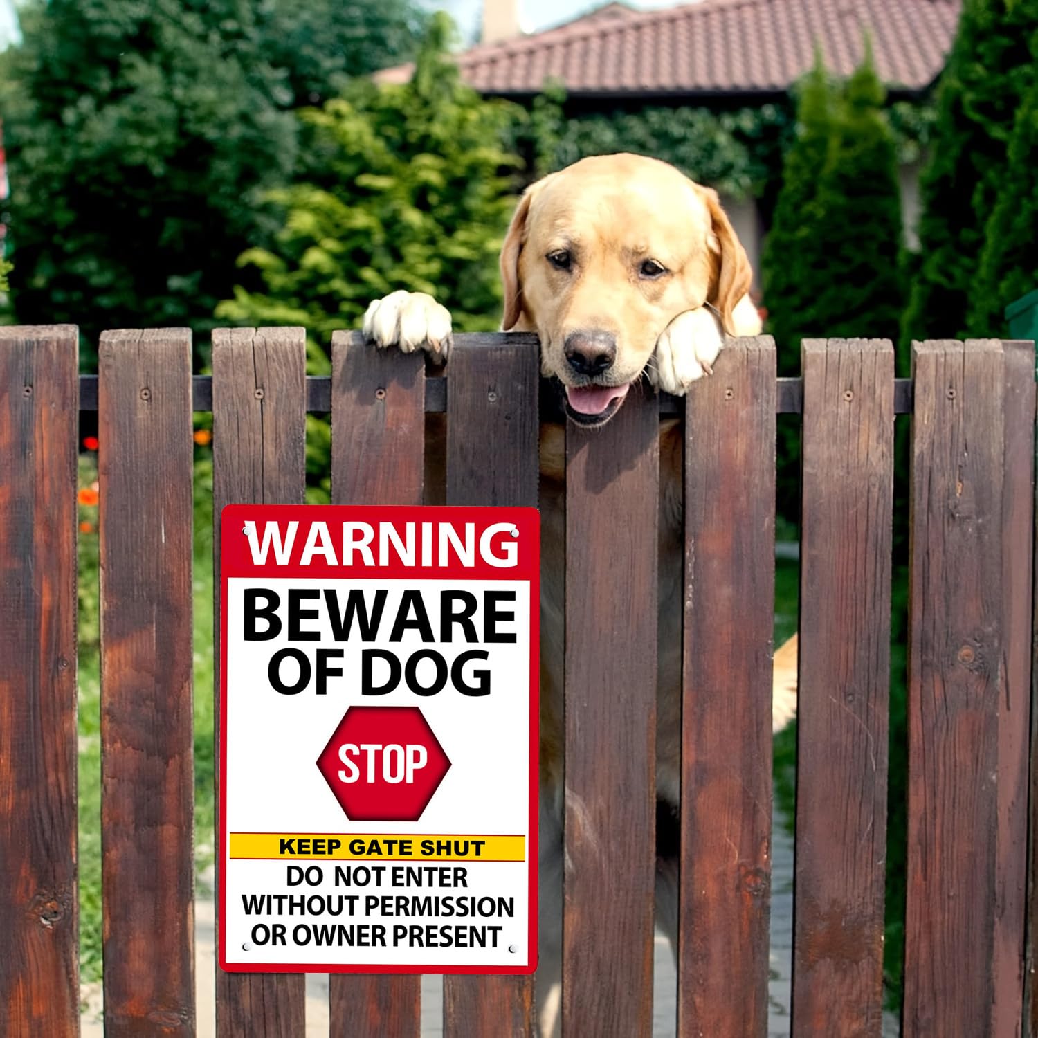 2x Hundewarnschilder Aus Metall – „Beware Of Dog“, 20,3 X 30,5 Cm, Für Garten, Zaun & Tor