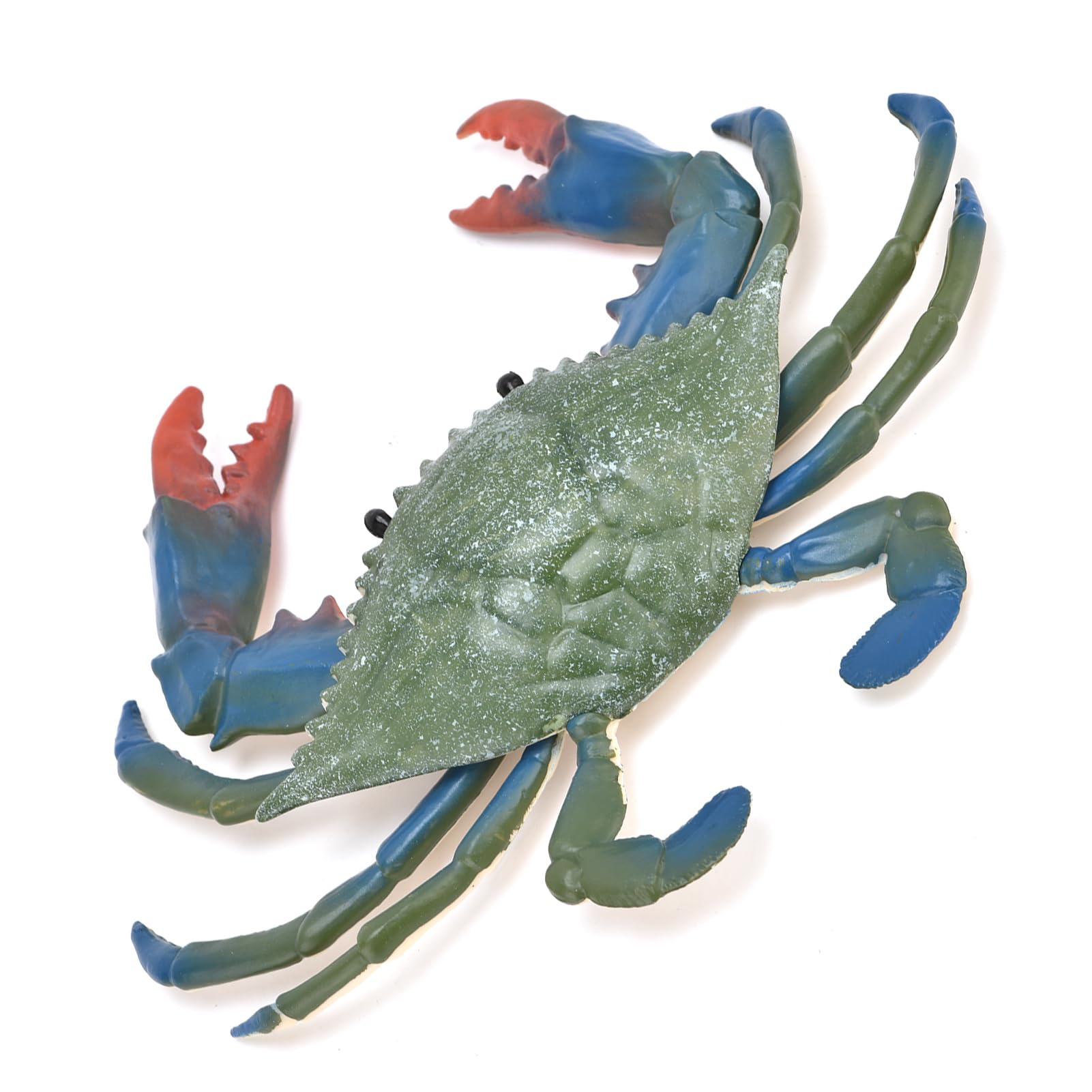Wakects Crab Model, Realistic Plastic Crabs Toy Marine Animal Kids Educational Props Desk Decoration with Rounded Edges for Marine Lovers 6.9 x 0.9in (PL127-524 Crab (0.072kg))