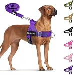 SlowTon No Pull Dog Harness and Leash Set for Large Medium Dogs, Soft Padded Adjustable Dog Vest, Reflective Tactical Military Dog Harness 5.9 Ft Dog Leash Anti-Twist Pet Lead (Black,L)