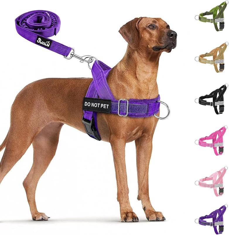 Peitoral Vest Antipuxão para Cães com Guia Elástica e Alças Acolchoadas SlowTon M