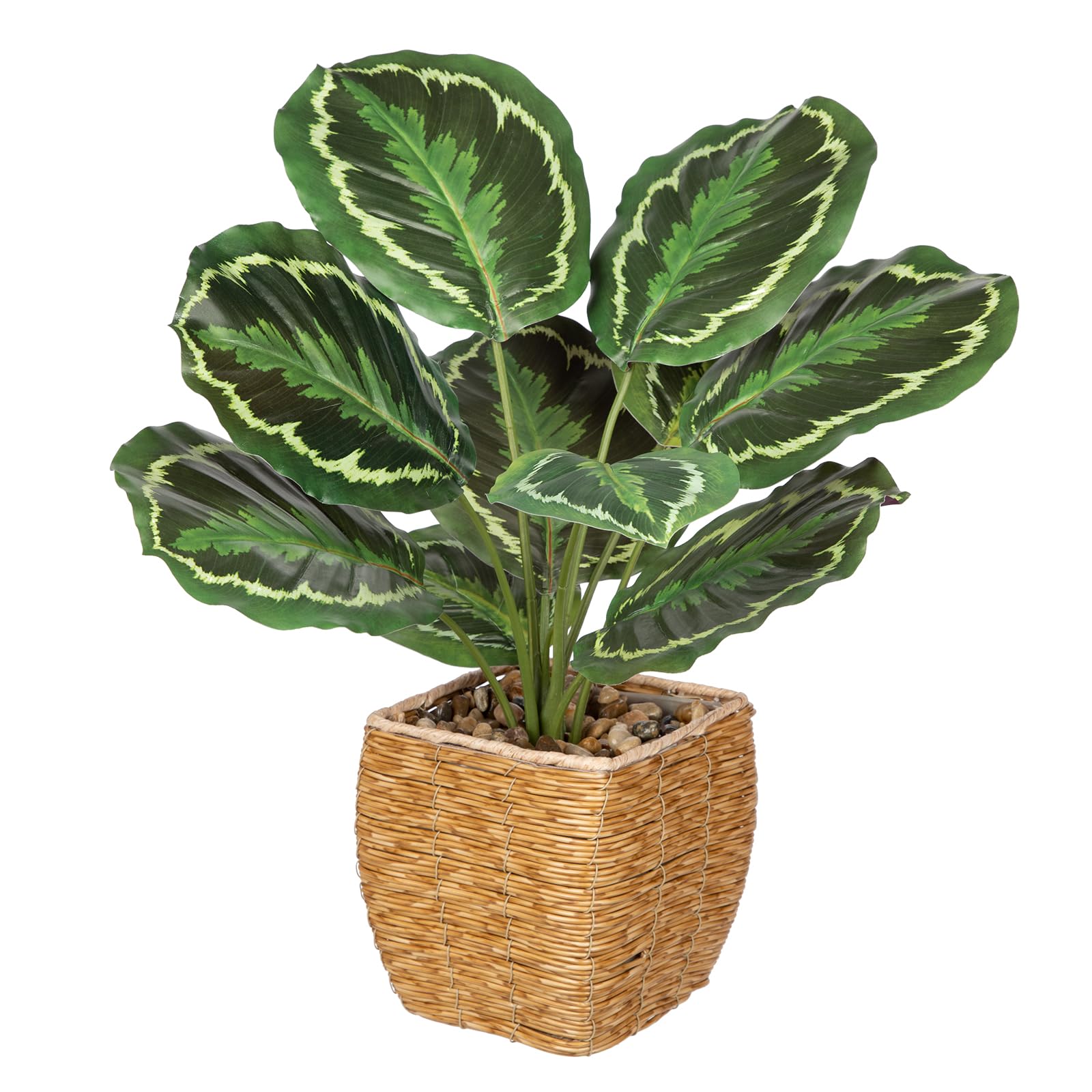 Briful Fake Calathea Medallion