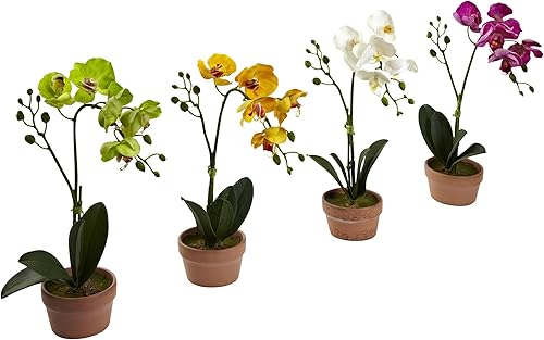Miniatura 6 de Nearly Natural Orquídea Phalaenopsis con jarrón de arcilla (juego de 4)