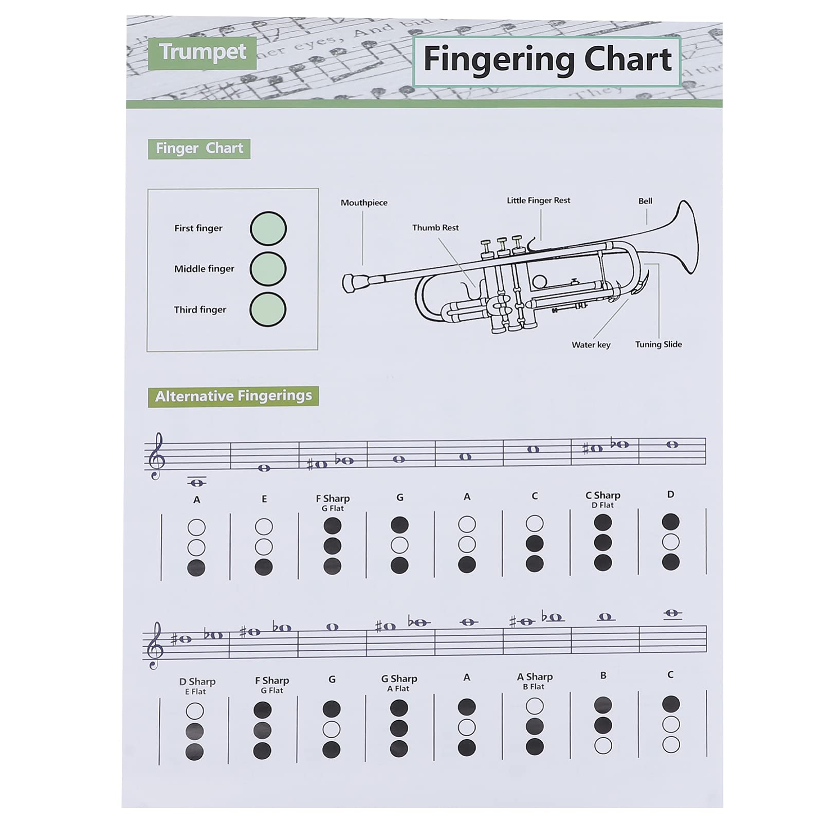 Buy Holibanna Trumpet Fingering Chart Trumpet Chord Chart Chord Scale
