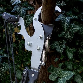 Darlac Expert Geared Anvil Tree Pruner Pruning Secateurs SK5 Steel
