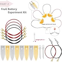 Vista 3 de Delinx STEM Science Kit, Magnets Learning,Basic Circuit Learning,Fruit Battery Experiment,Green Alternative Energy Lab Kits, Physic Electricity