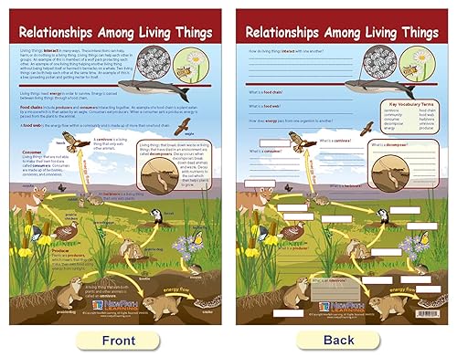 Miniatura 2 de NewPath Learning Tablón de anuncios Ecology, juego de 3 unidades, laminados, de doble cara, a todo color, 12 x 18 pulgadas (94-7007)