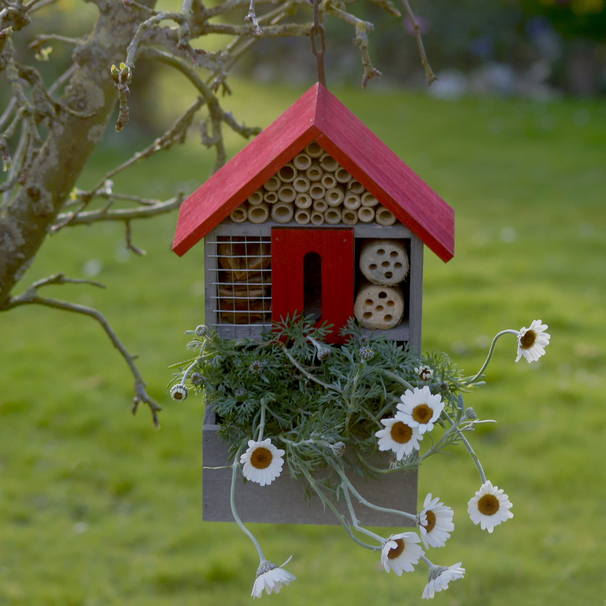 UNUS Garden - Casetta per insetti in legno, per piante e insetti