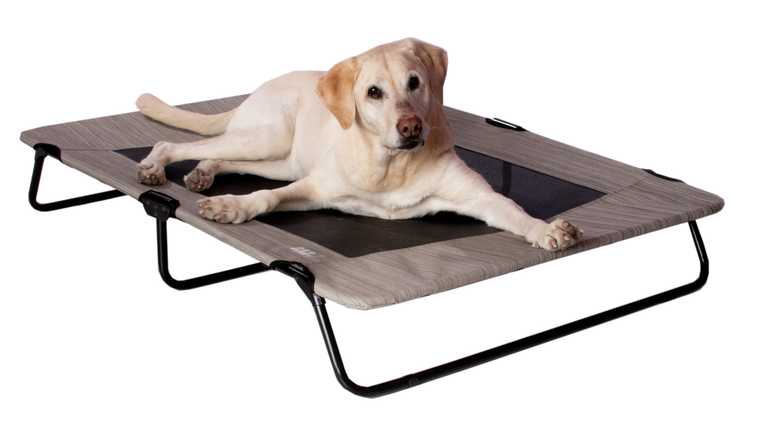 Pet Gear Lifestyle Pet Cot Elevated Bed, 50 Inch, Cloud — image 1