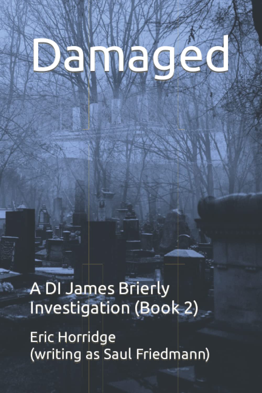 Damaged: A DI James Brierly investigation (Book 2) (Murders in the South.)