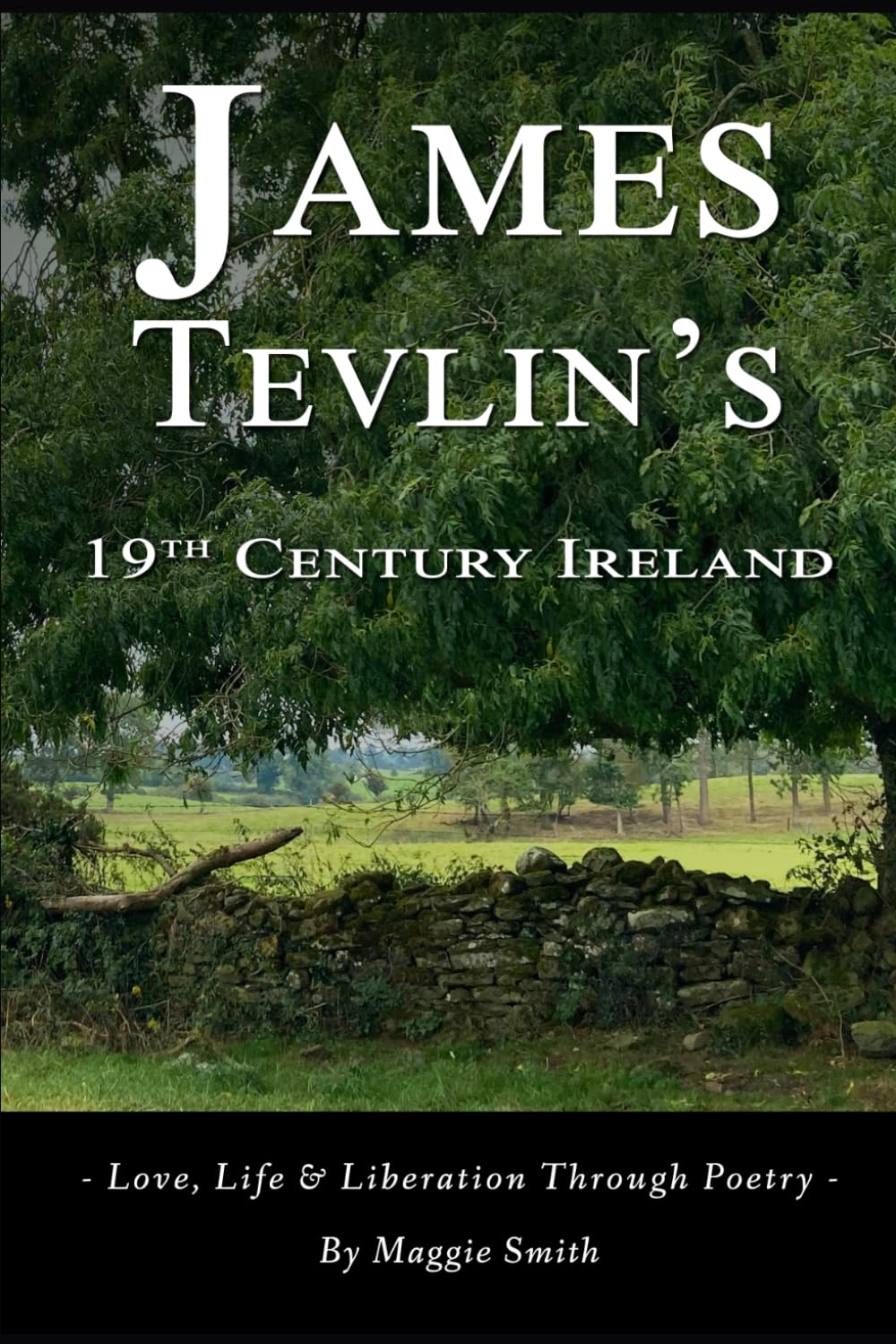 James Tevlin's 19th Century Ireland: – Love, Life & Liberation Through Poetry –