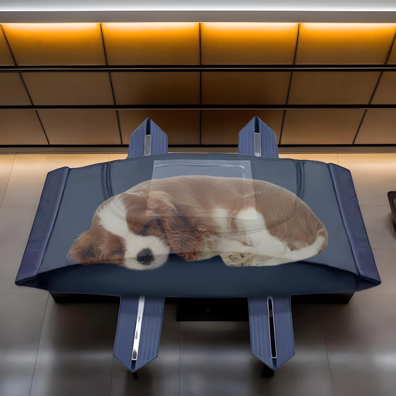 Cercot pour animaux pour l'enterrement - cercueil commémoratif biodégradable pour chiens et chats, avec des poignées pour les funérailles, le transport ou la tenue temporaire. Ajustement petit, moyen