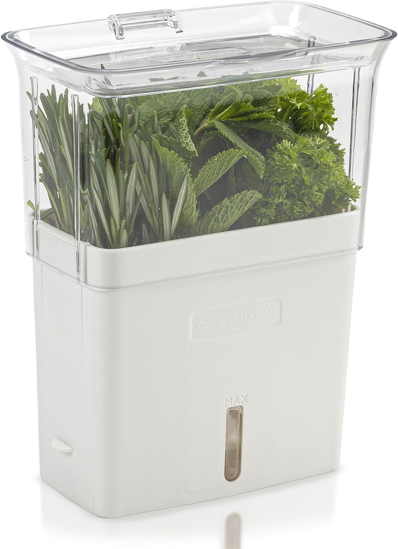 H105159 Tealby Fresh Cut Herb Keeper, Herb Pot/Storage/Herb Saver/Box, Acrylic, Includes Removable Dividers, 2 Year Guarantee,White/Clear (H) 230mm x (W) 185mm x (D) 120mm