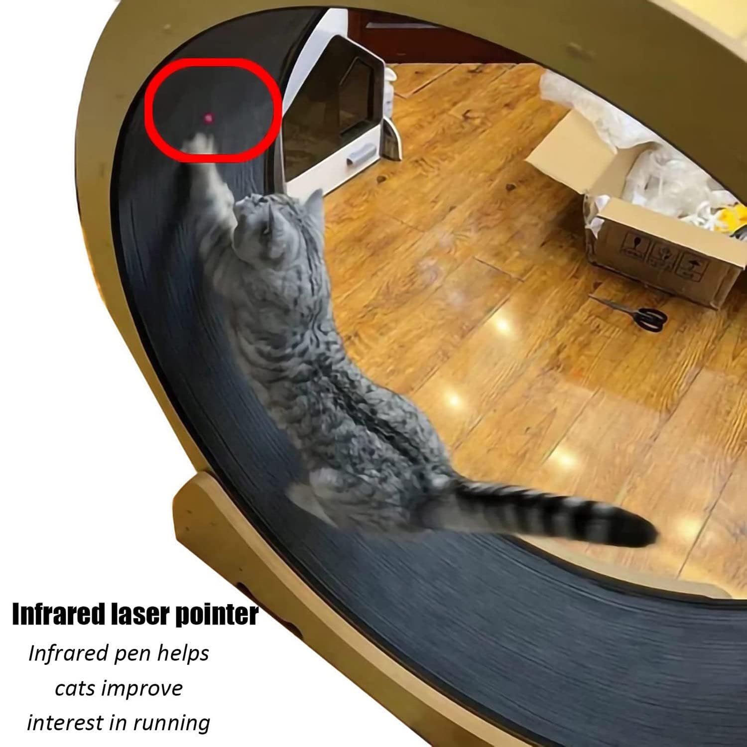 Katzenlaufrad Mit Arretierung – Fitnessrad Für Katzen Bis 10 Kg, 80 Cm Durchmesser, Aus PP-Material