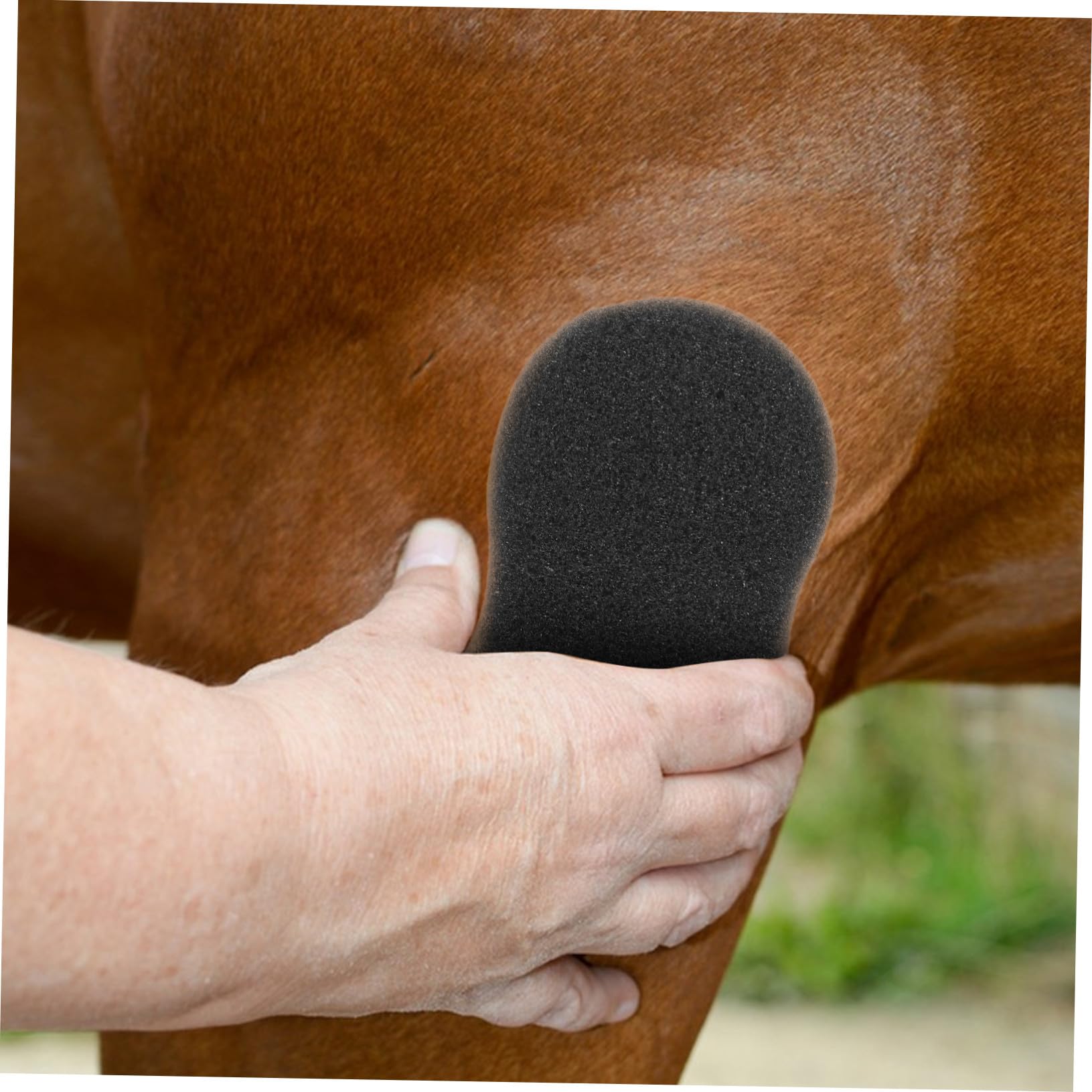 Herramientas para Baño y Cuidado de Caballos 5 Esponjas Portátiles para Limpieza de Pelo y Eliminación de Suciedad