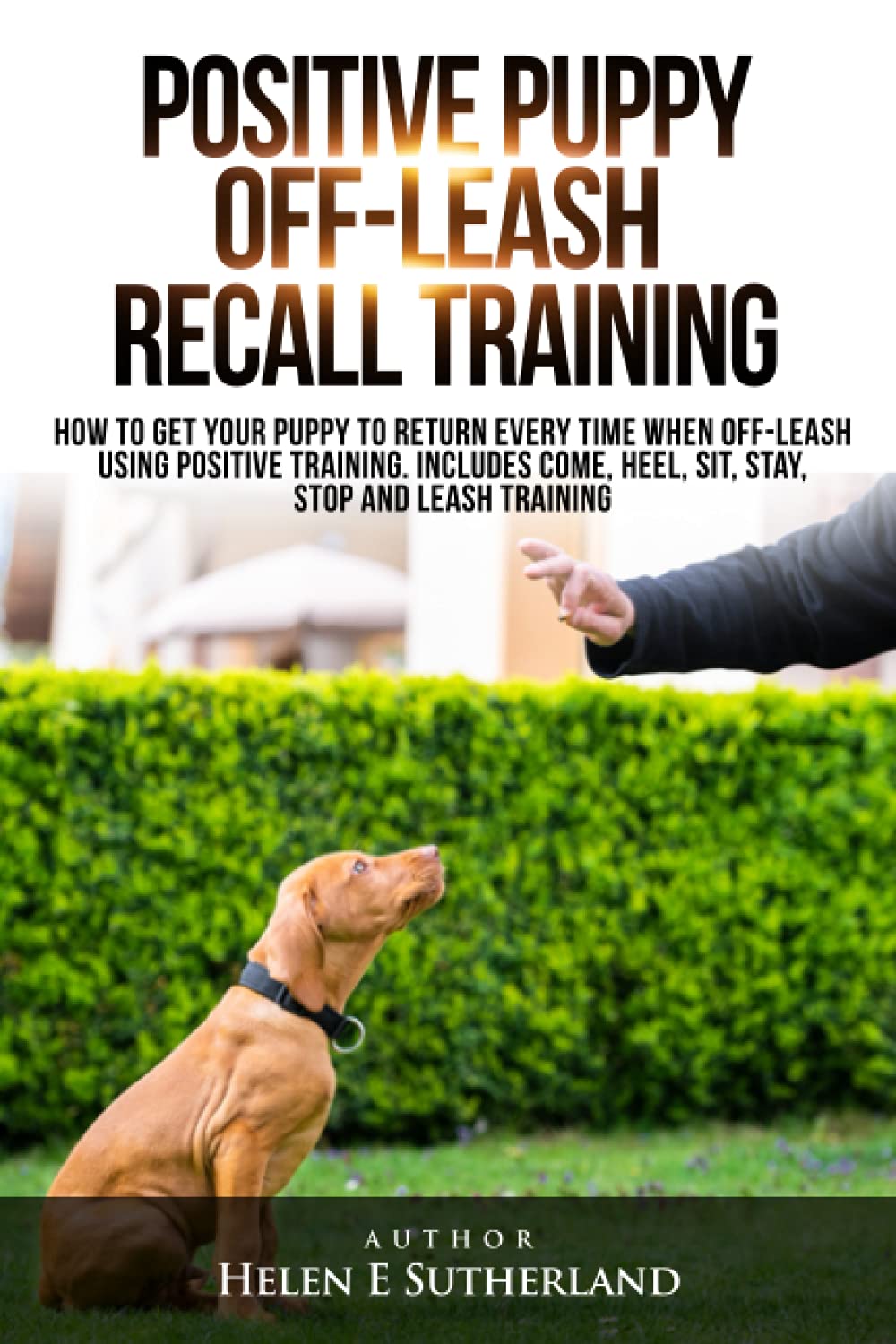 Positive Puppy Off-Leash Recall Training: How to get your puppy to return every time when off-leash using positive training. Includes come, heel, sit, stay, stop and leash training