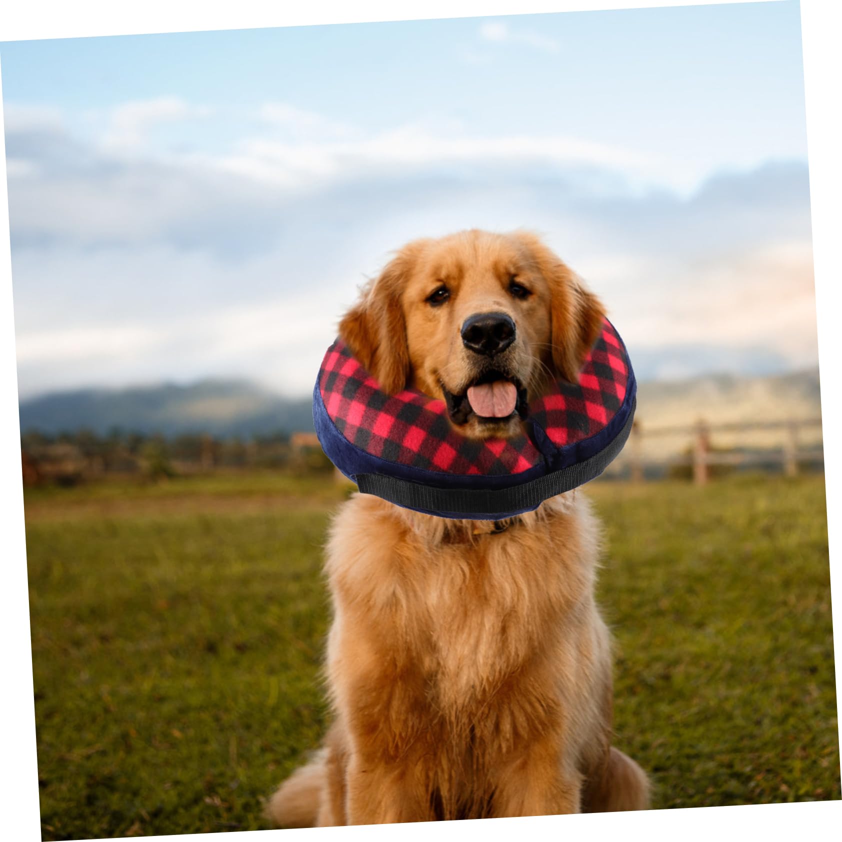 Didiseaon 5pezzi Collare Protettivo Gonfiabile Per Cani e Gatti Comfort e Supporto Collare Per Leggero e Lavabile Non Interferisce Con Alimentazione e Gioco