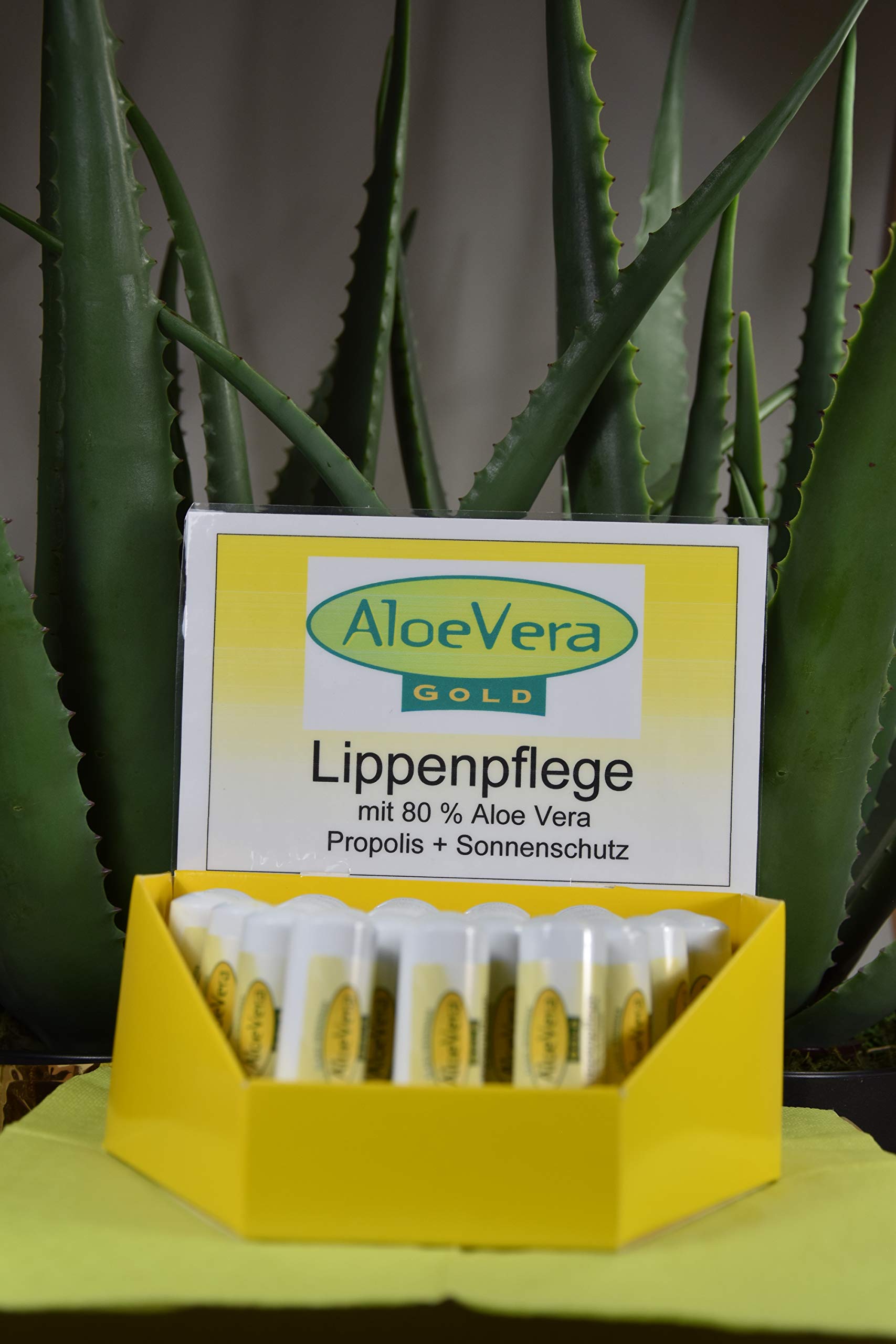 Aloe Vera Gold Lippenpflege Stift, 5er Pack (5 x 5 ml) : Amazon.de: Kosmetik