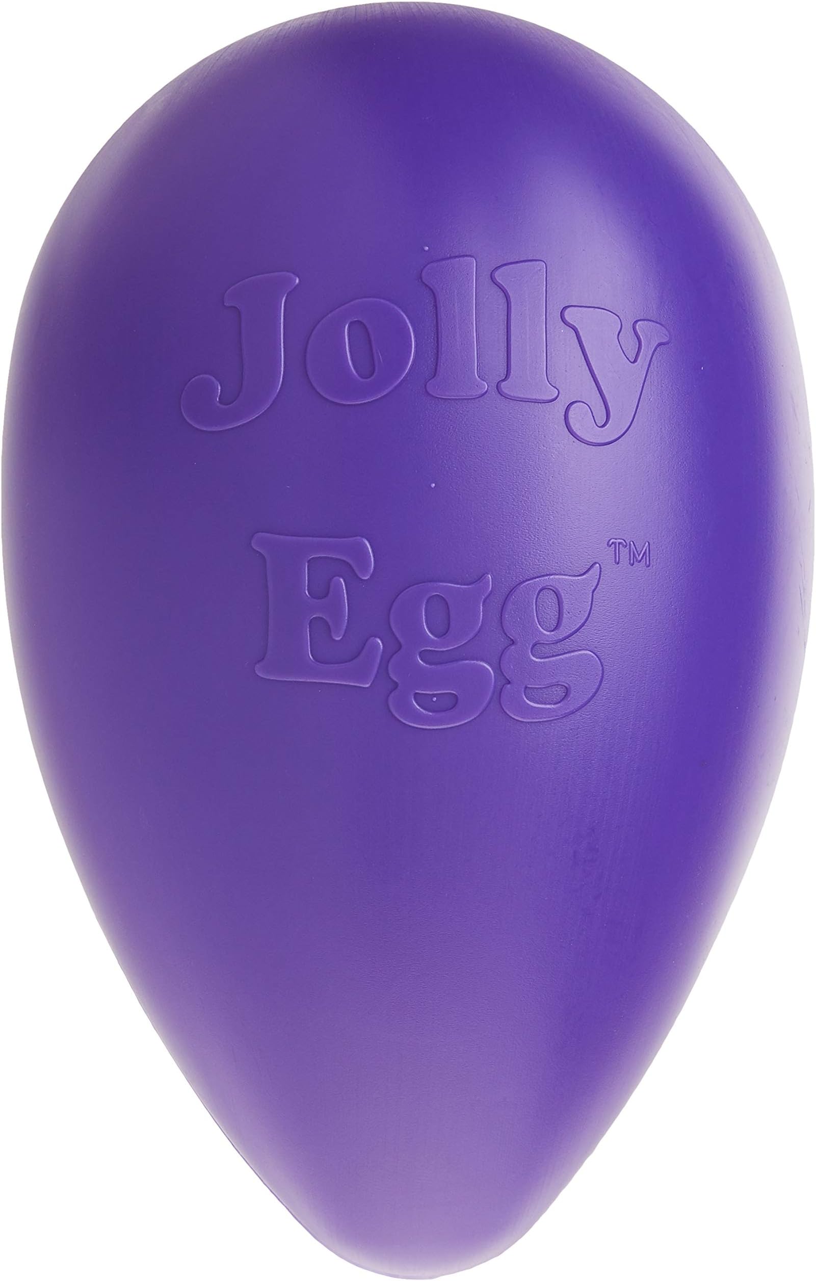 Jolly Pets Egg Dog Toy, 12 Inches/Large, Purple