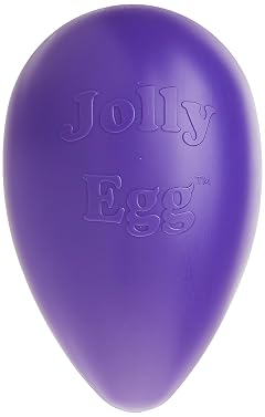 Jolly Pets Jolly Egg Dog Toy 12 Inches Large Purple