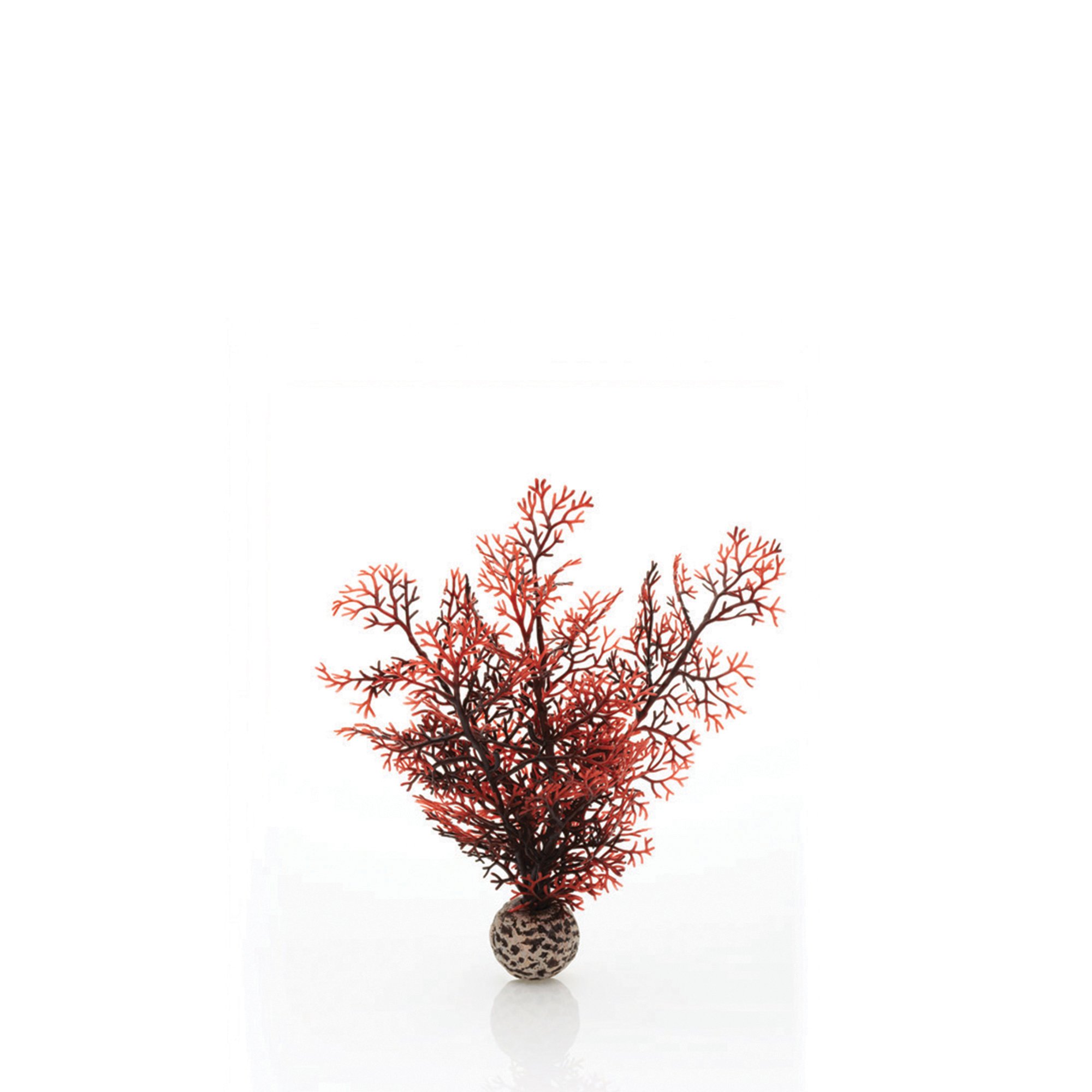 biOrb 46069 Horn Coral S, rojo oscuro - decoración de acuarios pequeños / coral artificial natural de plástico / decoración de acuarios / fácil limpieza / para agua dulce y salada