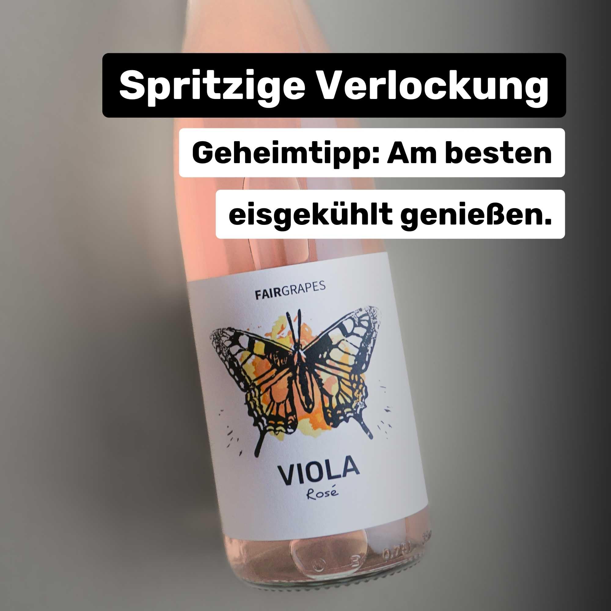 FairGrapes Rosé »Viola« | 90 Punkte Falstaff | VDP.Gutswein | Roséwein Trocken | Erdbeere & Waldfrüchte | Geschenkidee (12 x 0.75 l)
