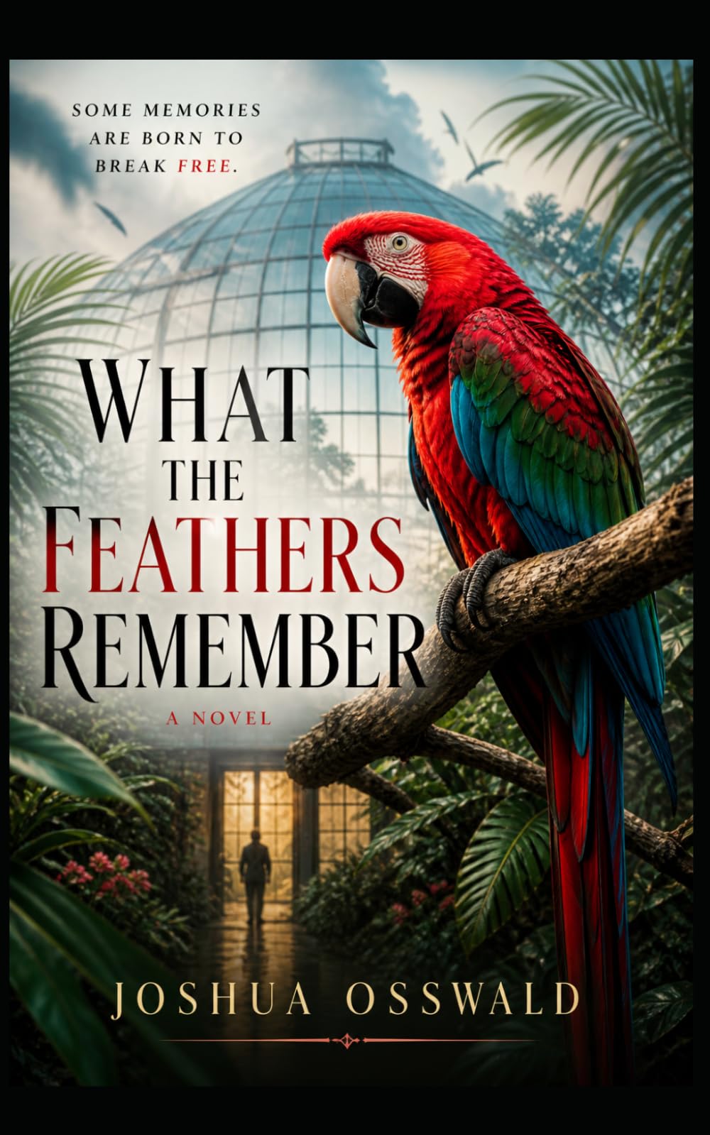 What the Feathers Remember