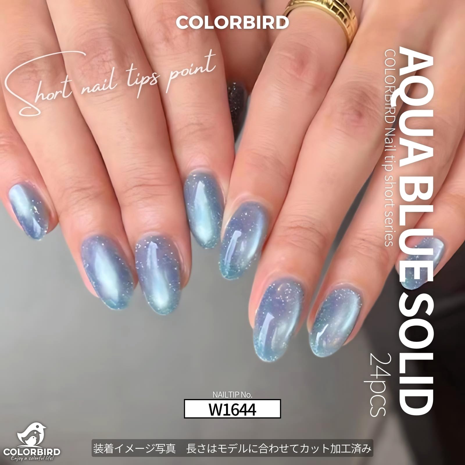 Amazon | COLORBIRD ネイルチップ ショート 24枚 マグネットネイル 青