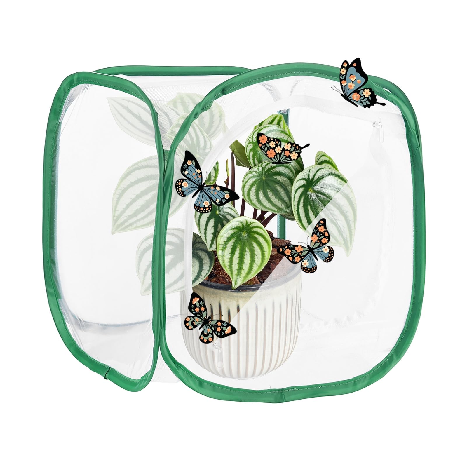 M METERXITY Butterfly Habitat Cage Terrarium, Outdoor Collapsible Mesh Pop-up with Zipper Protection for Breeding Butterfly/Ladybug, Mesh Plant Enclosure [White with Green, 12 x 12 x 12 Inch]