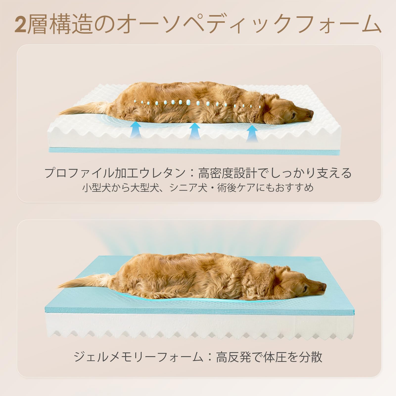 Amazon | EHEYCIGA 犬 ベッド ペット 犬用ベッド 洗える 防水