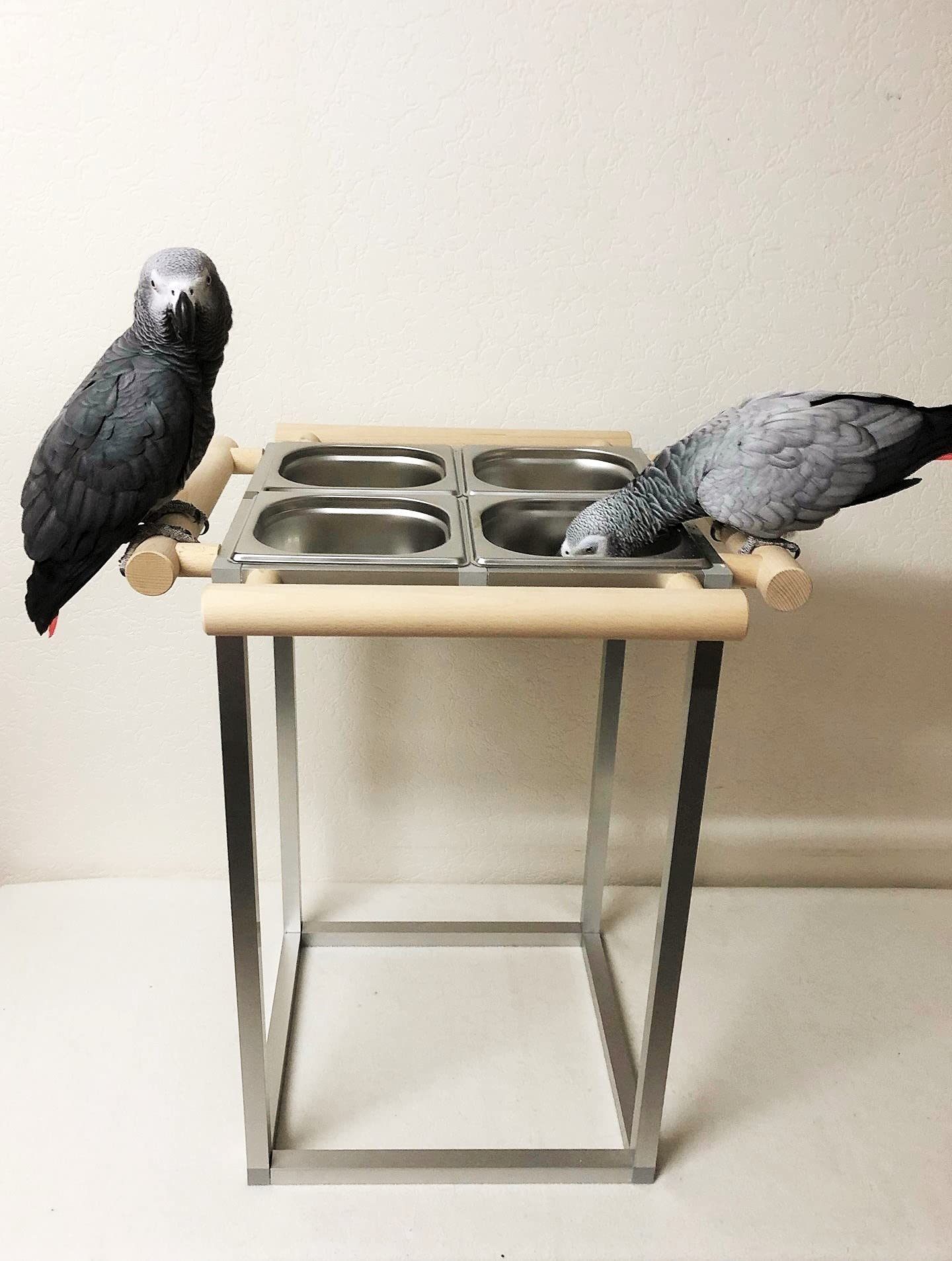 Generisch Papageien BADEWANNE Papageien Vögel Sittiche Edelstahl FREISTEHEND XXL Vogel Vogelbadehaus Vogelbadewanne Badehaus Vögel