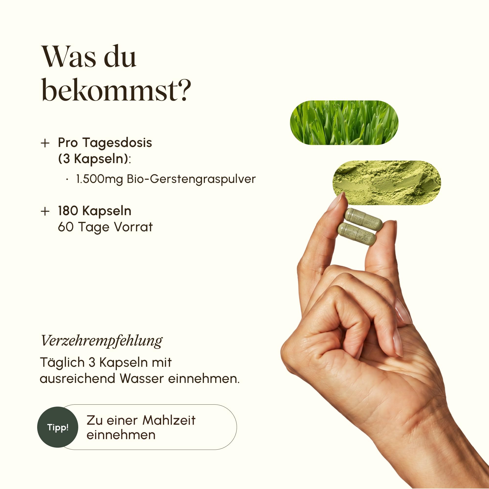 VETAIN Bio Gerstengras hochdosiert - 1.500mg pro Tag - 180 Kapseln - aus deutschem Anbau - Bio-zertifiziert - vegan & ohne Zusätze - produziert & laborgeprüft in Deutschland