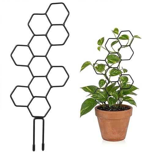 Plant Trellis Indoor, Trellis for Climbing Plants, Hanging Planters for