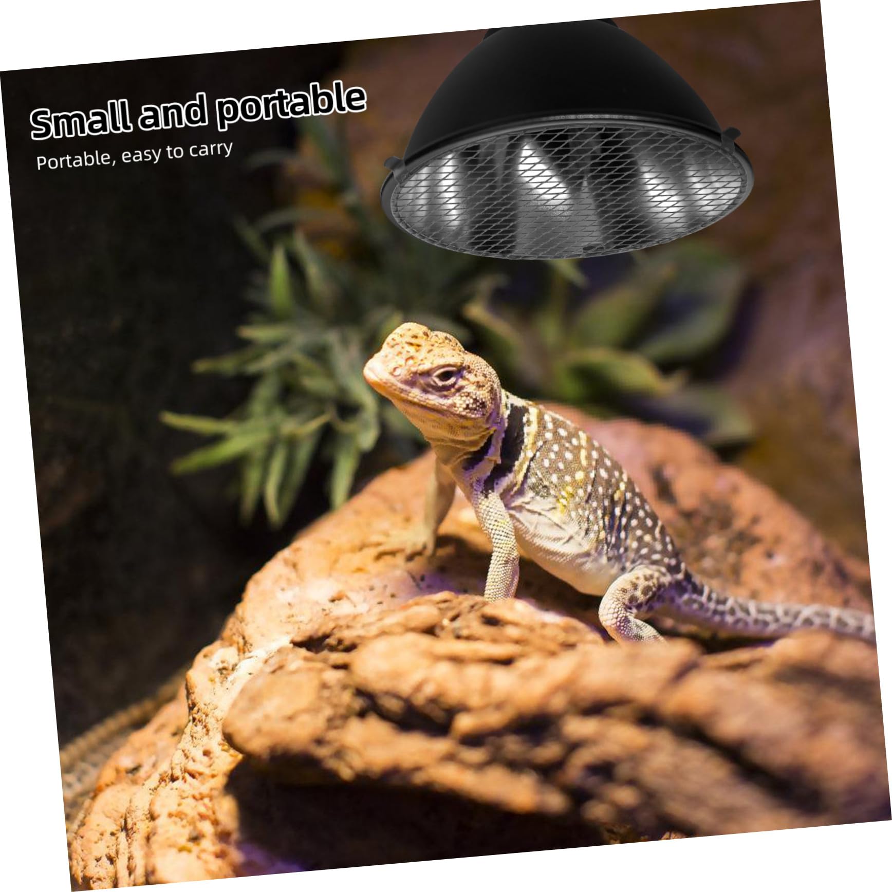 Hohopeti Wärmelampe mit Schutzkorb aus Eisen für Reptilien und Schildkröten Schneller Lampenwechsel Sicherer Lampenschutz für Terrarien bis 5,5 Zoll