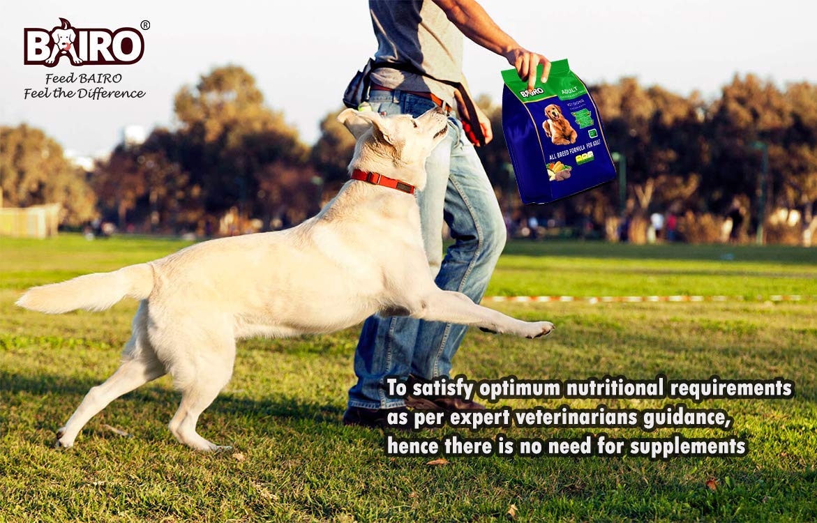 Bairo Adult Chicken Egg 5kg Amazon In Pet Supplies