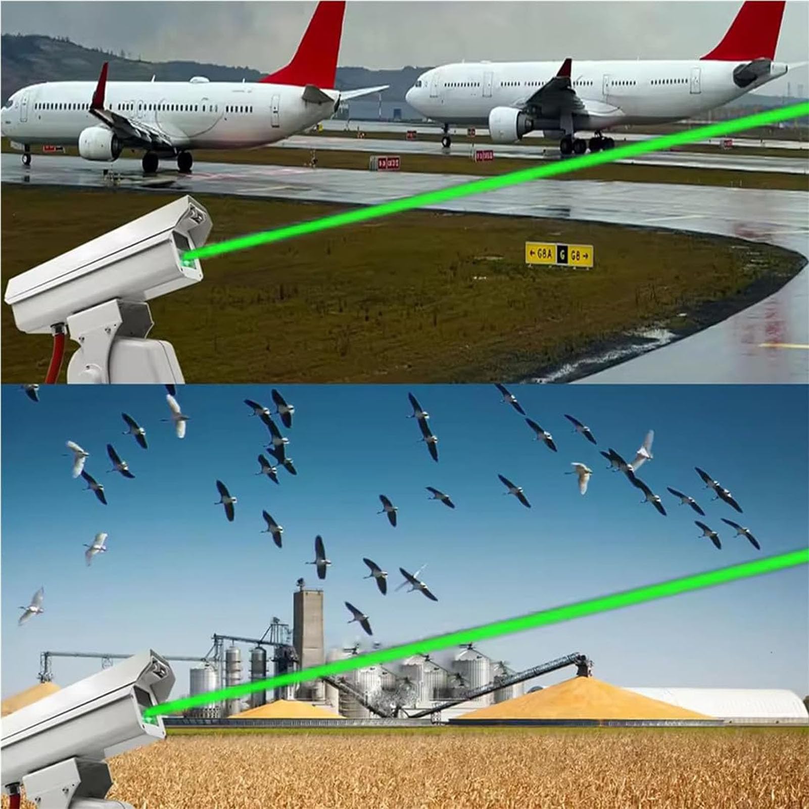 Repelente Láser Automático para Aves, Repelente de Aves Láser 360°, Crucero, Estorninos, Gorriones y Animales Salvajes, Espantapájaros Automático Profesional Láser