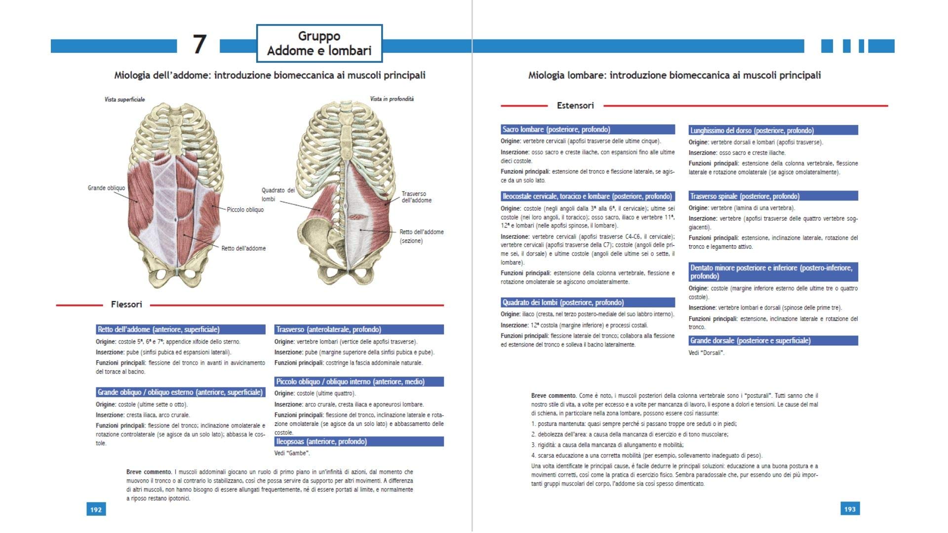 Enciclopedia dello stretching