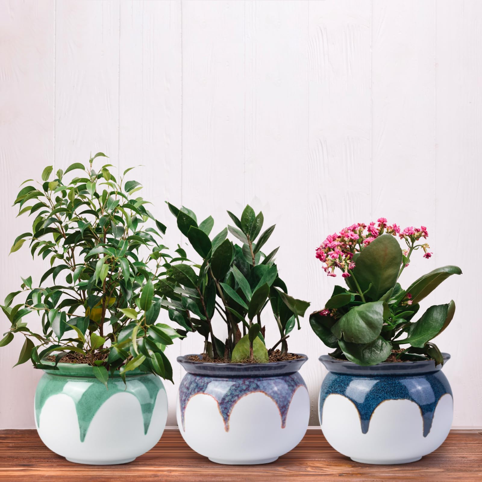 succulent ceramic pots Handmade French Beaded Succulent Garden