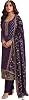 Pakistanische indische wunderschöne Damenbekleidung schöne Salwar Kameez Hose Dupatta Anzüge